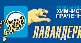 Beeline Gold ва Platinum имтиёз карталари эгалари Beeline