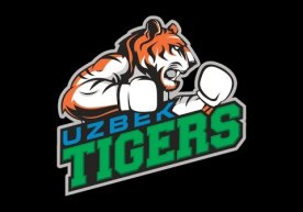 Uzbek Tigers жамоасининг Кубага йўл оладиган боксчилари маълум бўлди фото