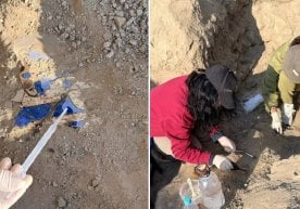 Тошкент вилояти ҳудудида археологик жамоа тарих учун улкан