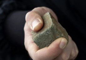 Фарғона вилоятида боғдаги қўйлар сабаб содир бўлган оддий