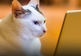 Одна из крупных технологических компаний Китая, “Tencent”,