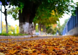 Ўзгидромет 27 октябрь куни кузатилиши кутилган об-ҳаво