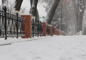 Ўзгидромет 23 декабрь куни учун об-ҳаво маълумотларини