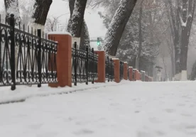 Ўзгидромет 23 декабрь куни учун об-ҳаво маълумотларини