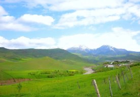 O‘zbekistonda 30 aprel kuni qanday ob-havo bo‘lishi ma’lum qilindi фото