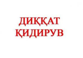 Қидирувдаги “таътил” узоққа чўзилмади фото