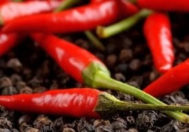 Навоий вилоятининг Хатирчи туманида жойлашган “N.S.2020”