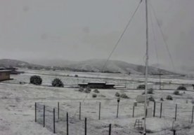 Бугун, 16 апрель куни Жиззах вилояти Зомин туманида