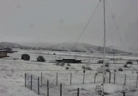 Bugun, 16 aprel kuni Jizzax viloyati Zomin tumanida