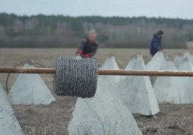 Kiyev Ukraina bilan chegarada Belarus qo‘shinlari to‘planganini e’lon qildi фото