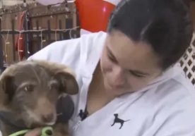 Чоко исмли кичкина итнинг саргузашти йўқолган уй