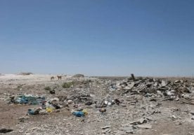 Ўзбекистонда экологияни софлаштириш ва табиий муҳитни