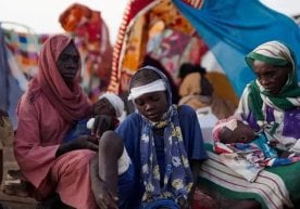 Жаҳон соғлиқни сақлаш ташкилоти (ЖССТ) Суданнинг Ал-Фашр