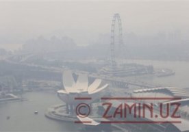 Singapur hukumati 5ta kompaniyani havoni ifloslantirganlikda gumon qilib, tekshiruv boshladi фото