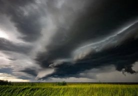 Ветнамда кучли бўрон яқинлашаётгани боис 586 мингдан ортиқ