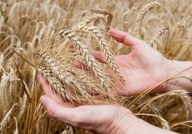 2025 йилнинг январ–июн ойларида мамлакатимиздаги барча