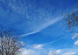 Ўзбекистонда 25–26 апрель кунлари асосан барқарор ва қуруқ