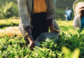 Фото: Getty Images Шри-Ланка ҳукумати Эрон етказиб берган