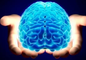 Шарқий Англия университети, Италиядаги Флоренсия
