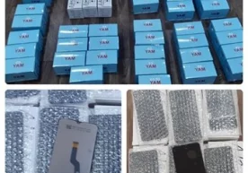Божхона органлари томонидан товарларнинг ноқонуний