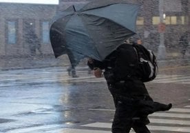 14 феврал, шанба куни Ўзбекистон бўйлаб ҳаво кўп