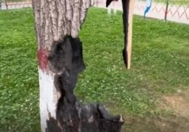 Фото: видеодан кадр Өзбекстанда ерекше жағдай тіркелді —