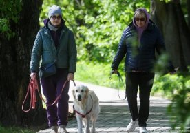 Germaniyalik olimlar surunkali og‘riqni yengishga yordam beradigan yangi usulni aniqladi фото