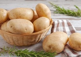 АҚШда ботаника ва озиқ-овқат илми соҳасида кутилмаган