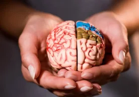 Торонто университети олимлари мияга идрок этишда минимал