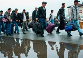 Адлия вазирлиги ва Давлат солиқ қўмитаси ижтимоий