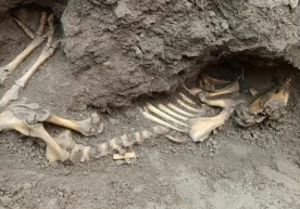 Фото: «Дарё» Наманган туманининг «Қоратепа» маҳалласидаги