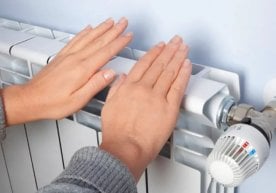 Тошкент шаҳар ҳокимлиги қарорига кўра, пойтахтда