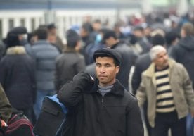 Хорижда ишлаётган фуқароларнинг ҳуқуқлари, ҳаёти ва