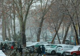 26 декабрь куни Ўзбекистоннинг бир қатор ҳудудларида қишга