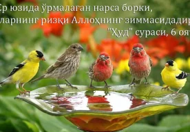 1. Iymon: «Agar o‘sha joyning ahli iymon keltirib,