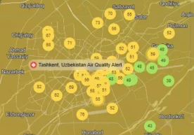 Air quality in Tashkent has significantly improved.