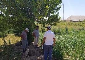 Номулкий ундирувлар билан боғлиқ ижро ҳаракатлари