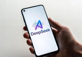 Das chinesische neuronale Netzwerk DeepSeek ist in