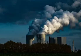 Фото: ecovision Тадқиқот февраль – июнь ойларида 123