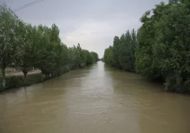 Фото: «Дарё» Наманганда мактаб ўқувчиси 36 яшар аёлни