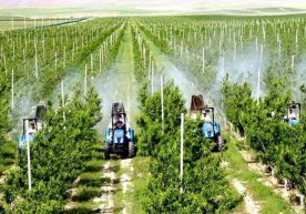 2025 йилда халқаро стандартларни амалиётга татбиқ этган 48