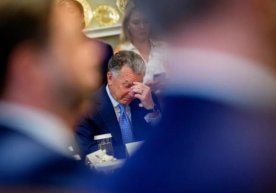 АҚШ президентининг махсус вакили Стив Уиткофф маълумот