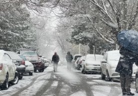 Гидрометеорология хизмати 2025–2026 йиллар қиш мавсуми