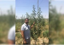 Мамлакатимизда коронавирус хавфи кириб келишини олдини