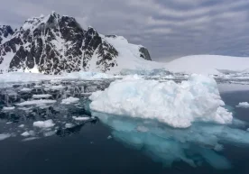 Халқаро олимлар гуруҳи тайёрлаган навбатдаги ҳисоботга