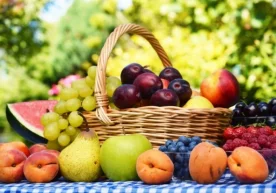 Мутахассислар ўрикни энг фойдали мева деб аташди. Ўрикни