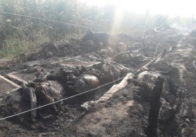 Фото: ФВВ ЁХББ ОАВ билан ҳамкорлик қилиш бўлинмаси 8