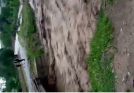 Sharof Rashidov tumanida sel qoramollarni oqizib ketdi (video) фото