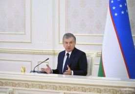 Prezident plantatsiya shaklida intensiv bog‘lar barpo etib, aholiga 1-1,5 gektardan tarqatish bo‘yicha topshiriq berdi фото
