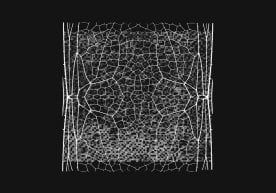Anthropic has announced the expansion of its Project